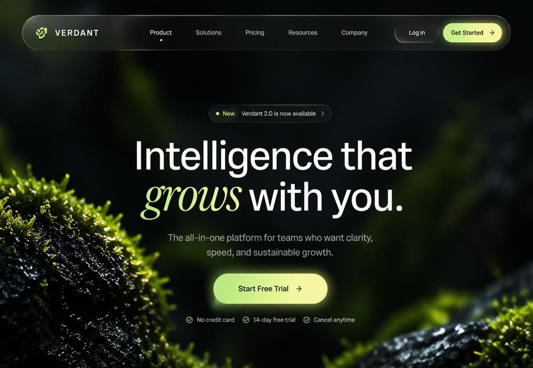 Website design preview